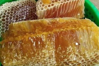Cách phân biệt mật ong ruồi và mật ong khoái đúng chuẩn 