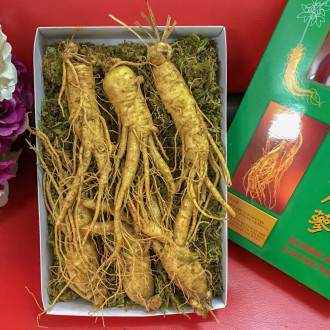 Sâm Tươi Hàn Quốc 6 Củ 1Kg 