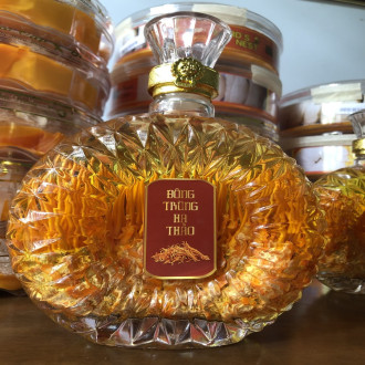 Đông Trùng Hạ Thảo Ngâm Rượu