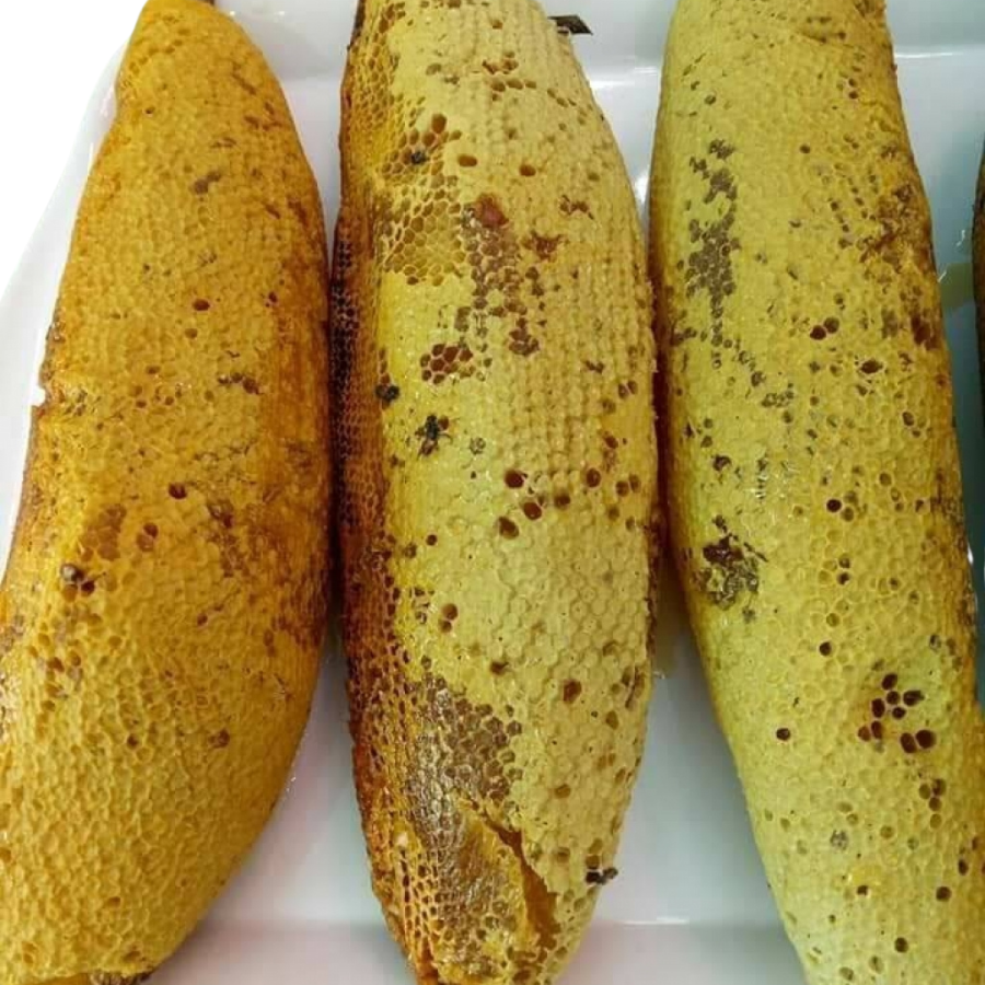 Mật Ong Nguyên Tổ Rừng - Giới thiệu về Mật Ong Rừng 