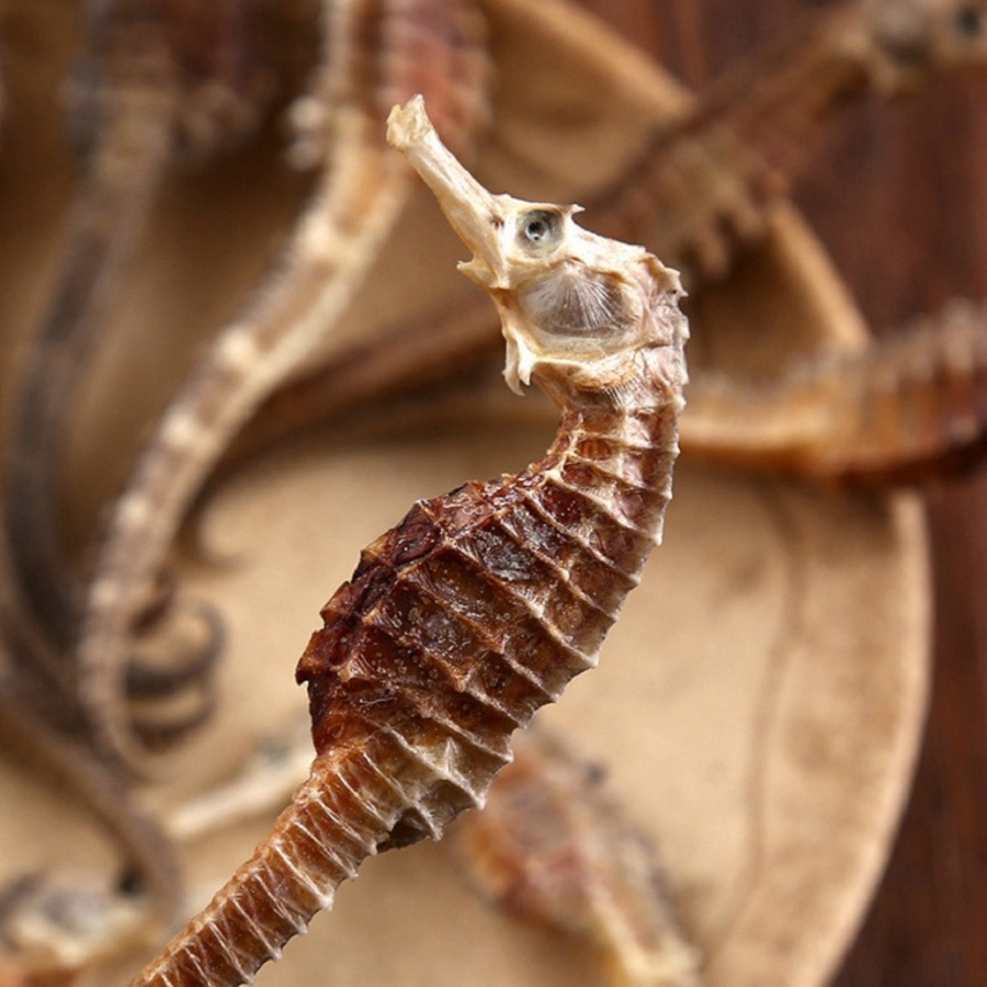 Cá Ngựa Khô 