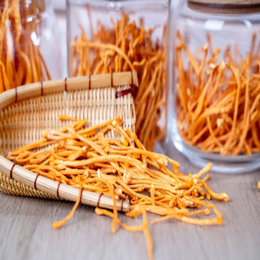 Nấm Đông Trùng Hạ Thảo