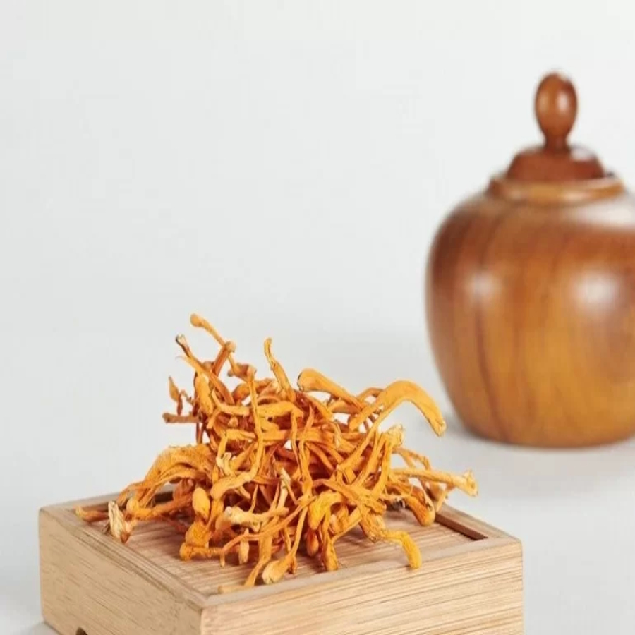 Nấm Đông Trùng Hạ Thảo